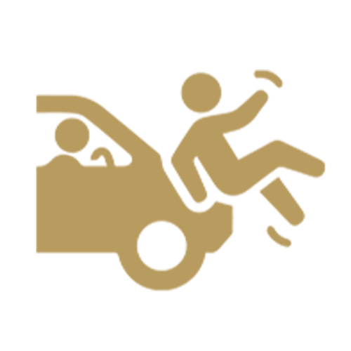 Personal Injury Icon